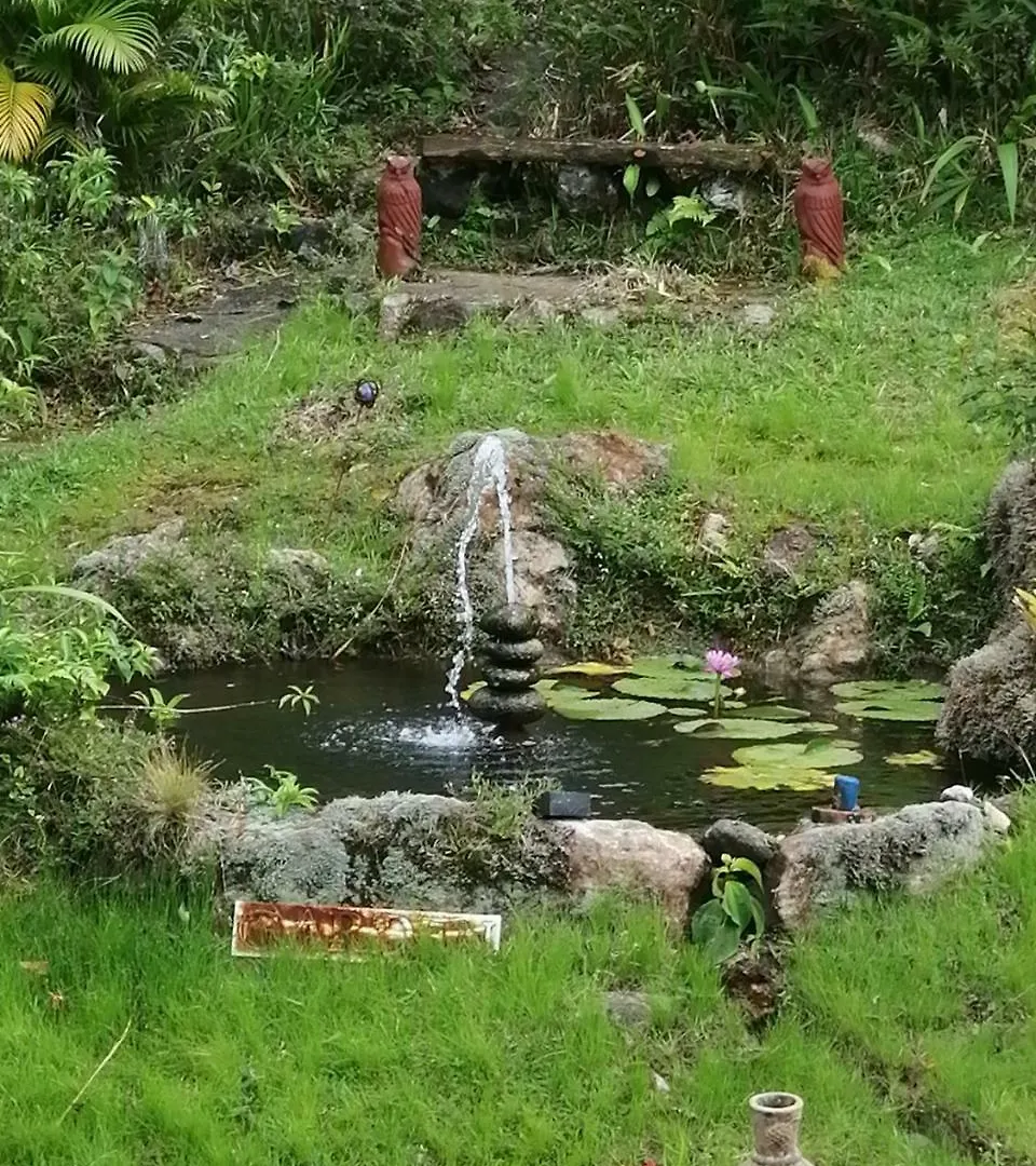Trois Piton Apartments Pont Casse Dominica